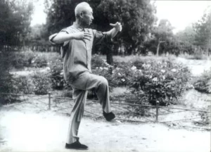 one-legged-stance-by-yao-zongxun-姚宗勋 yao-zongxun-姚宗勋Cheng-Bao-Stance-by-Yao-Zongxun-姚宗勋gougua-Yiquan-Stance-by-Yao-Zongxun-姚宗勋Yiquan-Stance-by-Yao-Zongxun-姚宗勋意拳-现代实战拳学lineage - yiquan zhanzhuang standing meditation song gao stance post standing pile yu yongnian