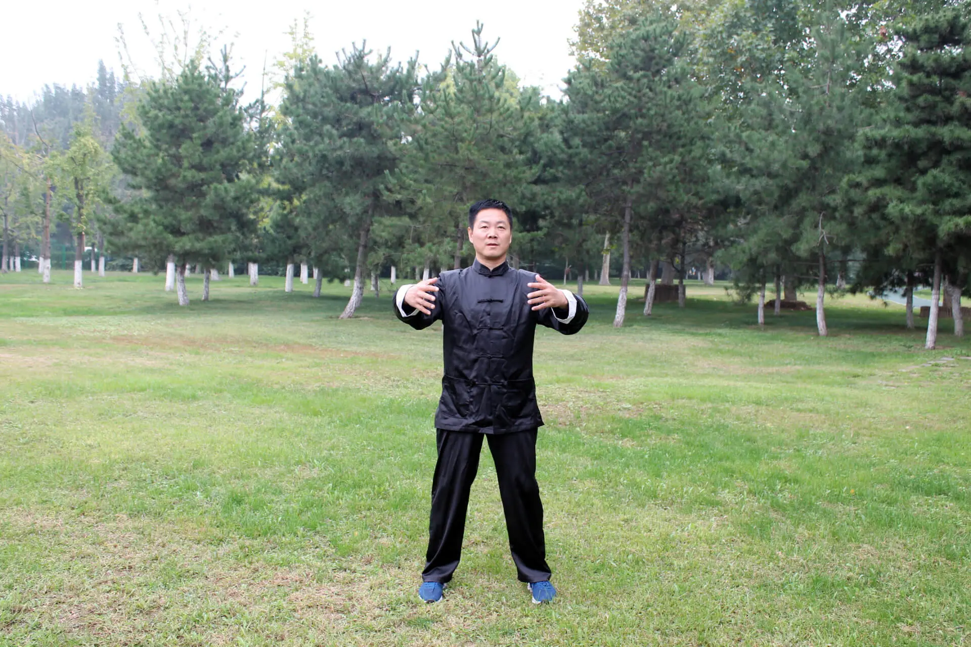 Zhang Yongmou - Yiquan Park's Living Master 1 yiquan zhanzhuang cheng bao stance zhang yongmou