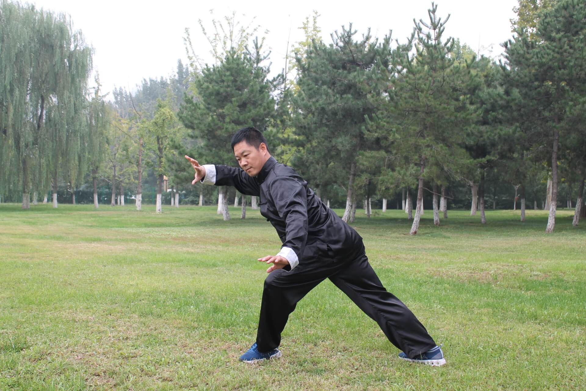 yiquan zhanzhuang dragon stance zhang yongmou