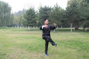 yiquan zhanzhuang one legged stance zhang yongmou