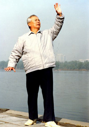 Yu Yongnian Yiquan zhanzhuang