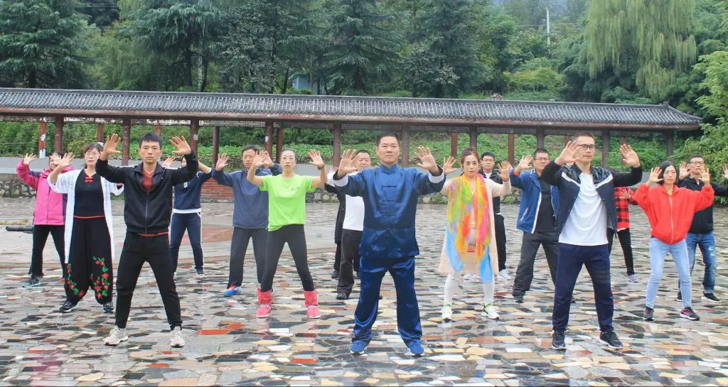 Zhang Yongmou - Yiquan Park's Living Master 7 zhang yongmou yiquan park online wuguan (Zhanzhuang)
