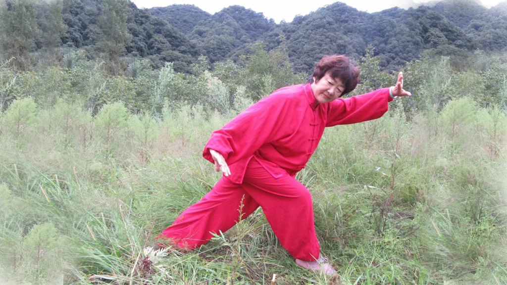 yiquan zhanzhuang female student dragon stance standing practice