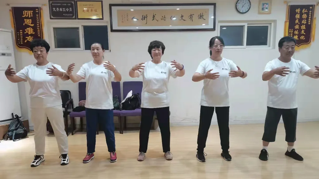 The Seven-step training system of Yiquan 2 yiquan zhanzhuang group student standing practice meditation health exercise