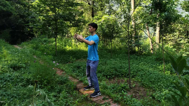 About-zhanzhuang and healing 4 yiquan zhanzhuang health exercise stance standing practice