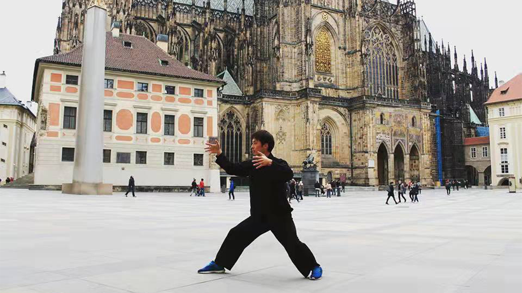 yiquan zhanzhuang hooking hangying health stance standing practice health