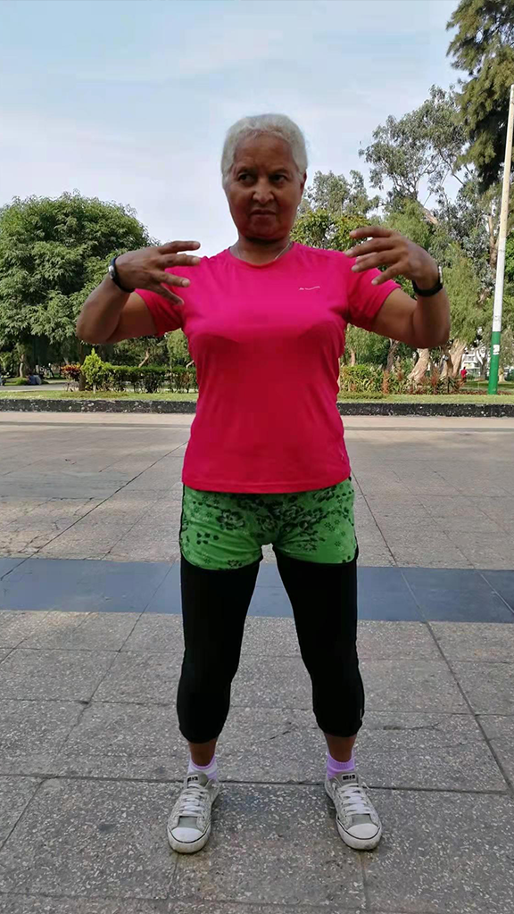 yiquan zhanzhuang peru student dragon stance standing practice health - beginner