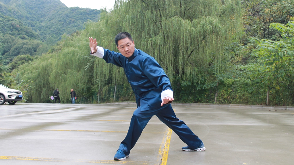 zhanzhuang dragon stance standing practice pile standing master zhang demo yiquan