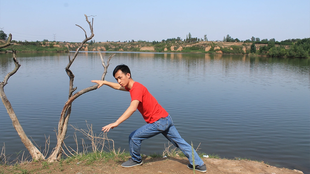 zhanzhuang dragon stance standing practice pile standing yiquan student