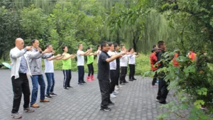 Yiquan Zhanzhuang the art of Yiquan the full training system