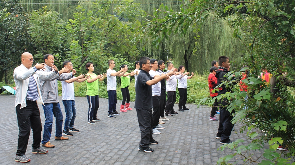 zhanzhuang group post standing practice meditation health exercise yiquan students