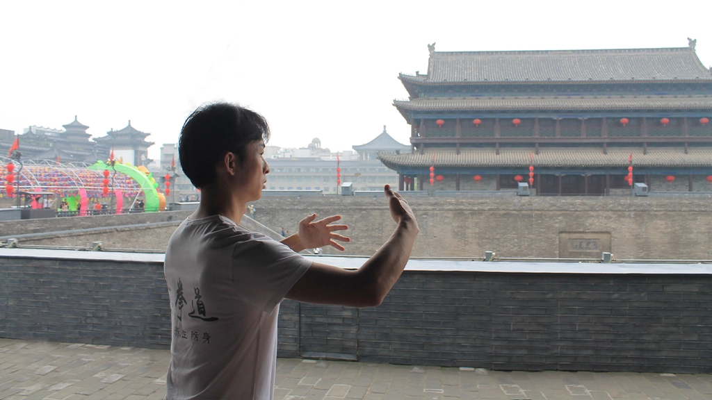 zhanzhuang standing pile post cheng bao stance practice meditation health exercise yiquan student travel