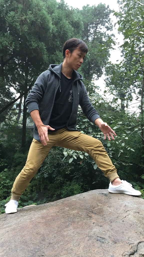 zhanzhuang tiger stance standing practice health exercise yiquan