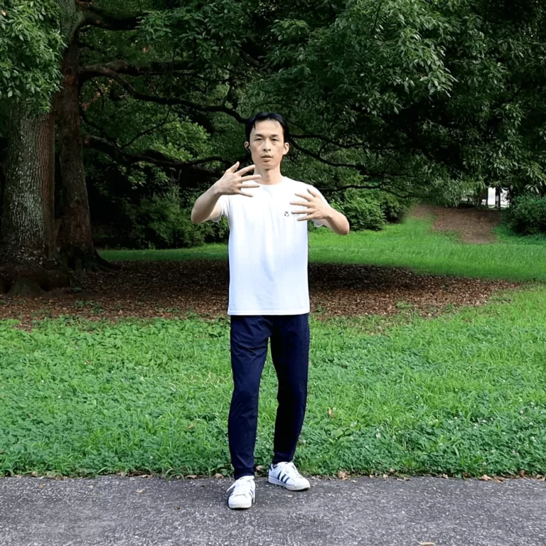 yiquan zhanzhuang standing meditation combat stance improve health