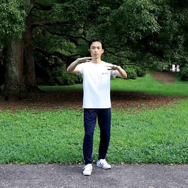 yiquan zhanzhuang standing meditation combat stance health improvement flat embracing