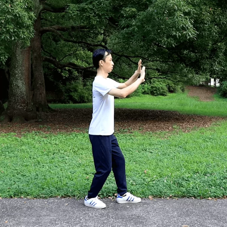 yiquan zhanzhuang standing meditation combat stance health improvement holding pushing