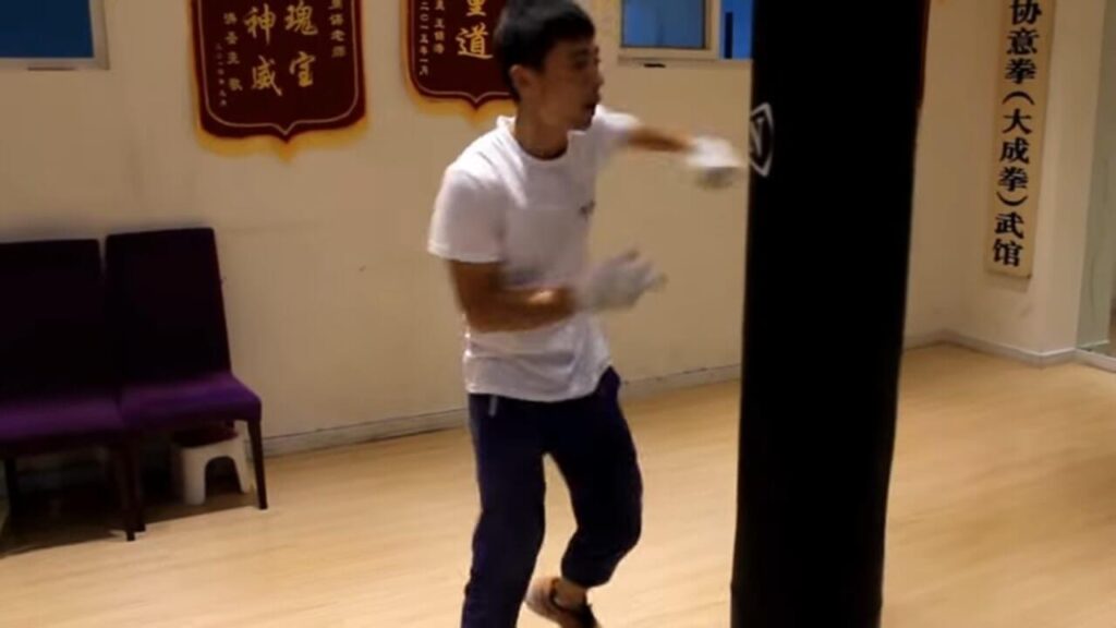 yiquan fali punching-bag