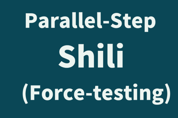 force testing, yiquan, shili