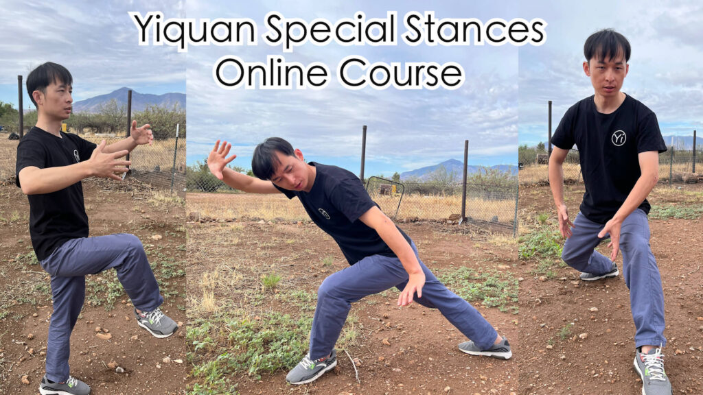Home 14 yiquan zhanzhuang The Tiger Stance, the Dragon Stance, and the One-legged Stance
