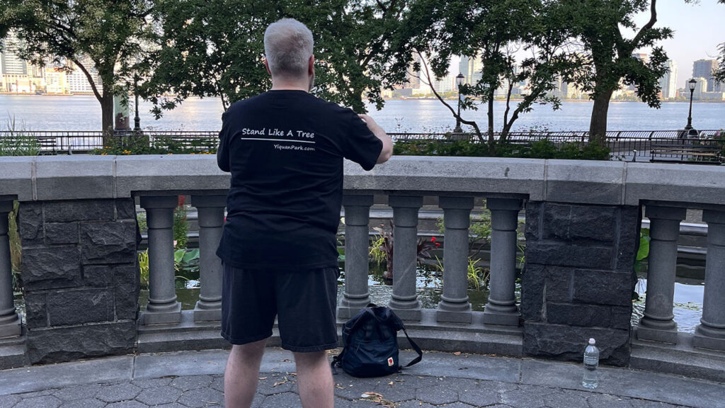 yiquan zhanzhuang song gao