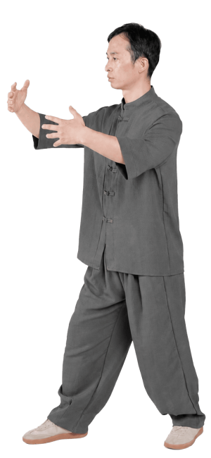 yiquan zhanzhuang stances