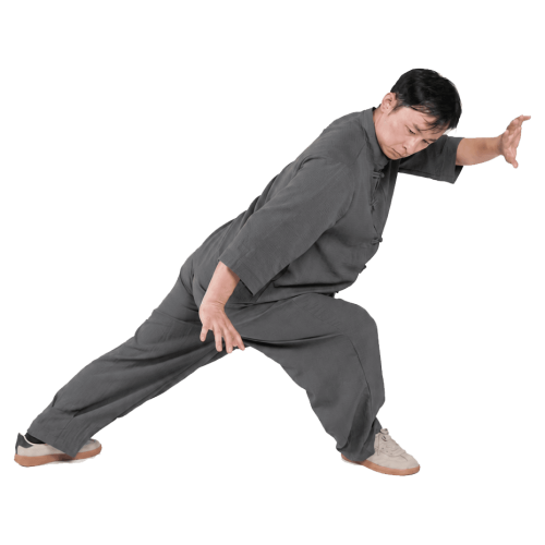 yiquan zhanzhuang stances